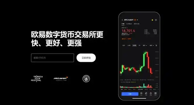 欧e交易平台正版系统展示图